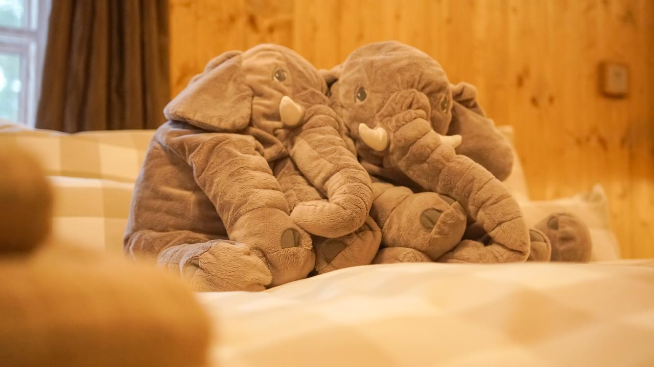 Residence Buffalo Špindlerŭv Mlýn Екстериор снимка